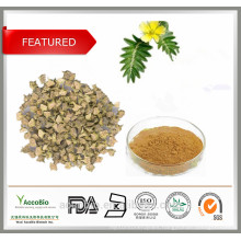 Wholesale Factory Supply 100% Natural Tribulus Terrestris Extract Powder Saponins 90% Protodioscin 20%